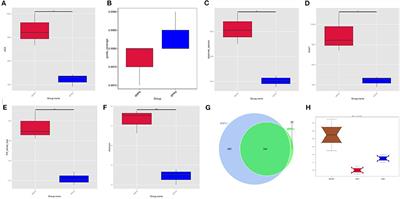 Rumen Microbiota Distribution Analyzed by High-Throughput Sequencing After Oral Doxycycline Administration in Beef Cattle